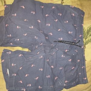 Men's casual shorts with flamingo print
